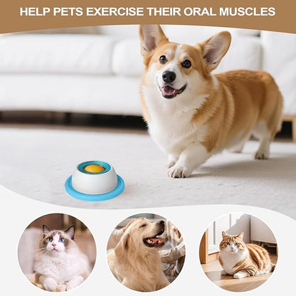 Interactive Slow Feeder Bowl for Dogs & Cats