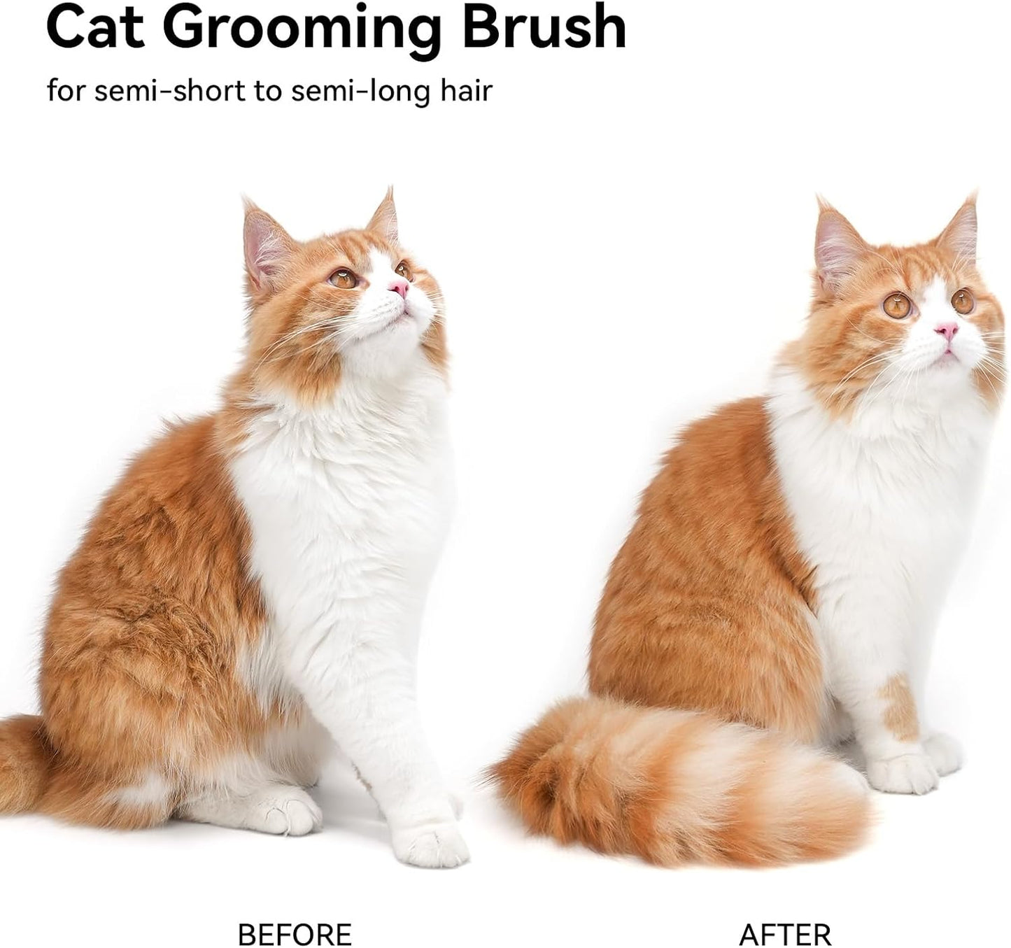 Professional Dog & Cat Brush — Long Hair
