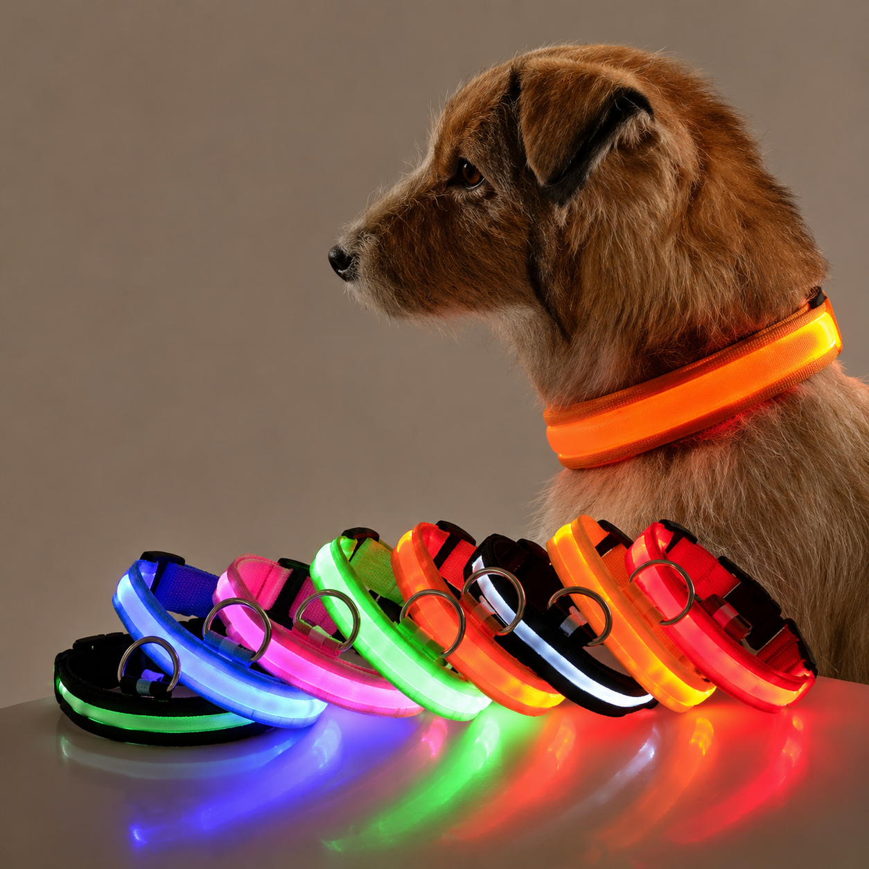 LED Night Safety Dog Leash & Collar — Glow in the Dark