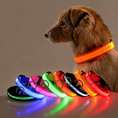 LED Night Safety Dog Leash & Collar — Glow in the Dark