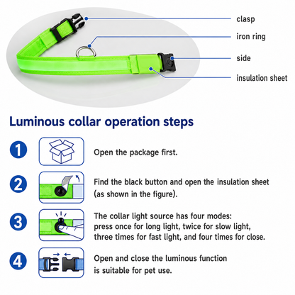 LED Night Safety Dog Leash & Collar — Glow in the Dark