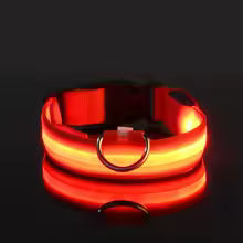 LED Night Safety Dog Leash & Collar — Glow in the Dark