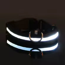 LED Night Safety Dog Leash & Collar — Glow in the Dark