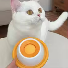 Interactive Slow Feeder Bowl for Dogs & Cats