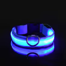 LED Night Safety Dog Leash & Collar — Glow in the Dark