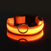 LED Night Safety Dog Leash & Collar — Glow in the Dark