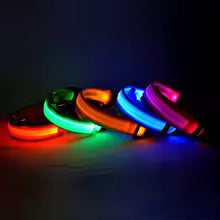 LED Night Safety Dog Leash & Collar — Glow in the Dark