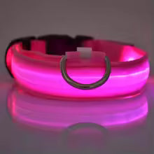 LED Night Safety Dog Leash & Collar — Glow in the Dark