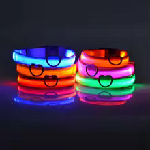 LED Night Safety Dog Leash & Collar — Glow in the Dark