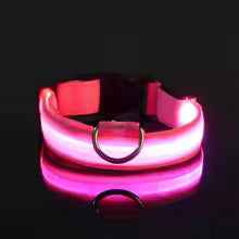 LED Night Safety Dog Leash & Collar — Glow in the Dark