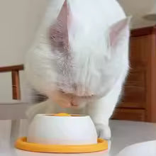 Interactive Slow Feeder Bowl for Dogs & Cats