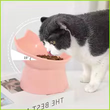 Raised Pet Bowl with Long Ears Design — Neck Protection | Dogs & Cats