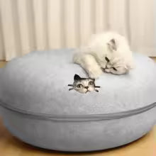 2-in-1 Felt Donut Cat Bed & Tunnel — Hide & Play House